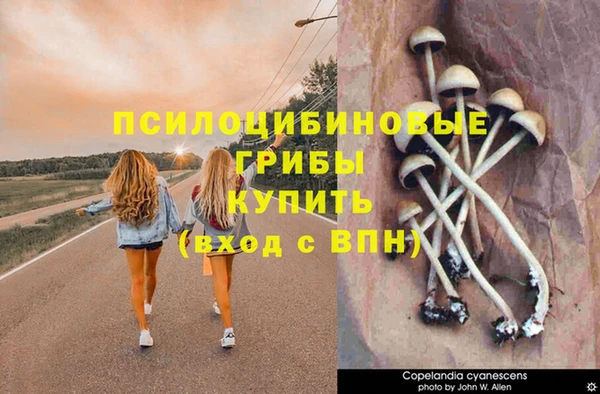 дмт Абаза