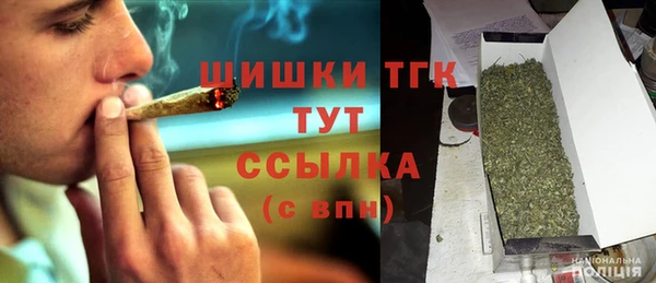 дмт Абаза