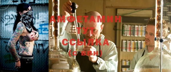 дмт Абаза