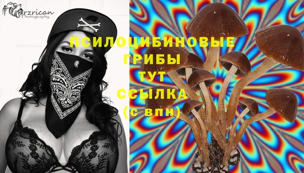 дурь Абинск
